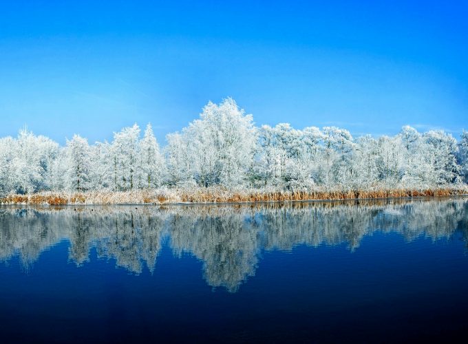 Wallpaper lake, forest, snow, winter, 5k, Nature 478503273